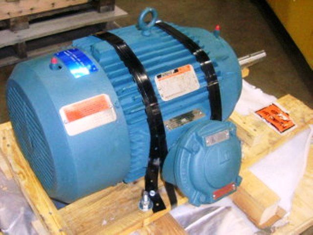 Reliance Electric Duty Master AC Motor